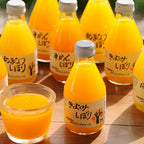 和歌山 伊藤農園 5種の柑橘ジュース 180ml×10本 商品画像