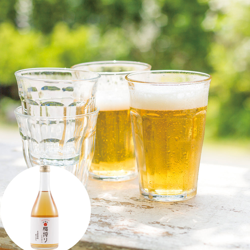 和歌山 梅搾り 4倍希釈 490ml 化粧箱入り