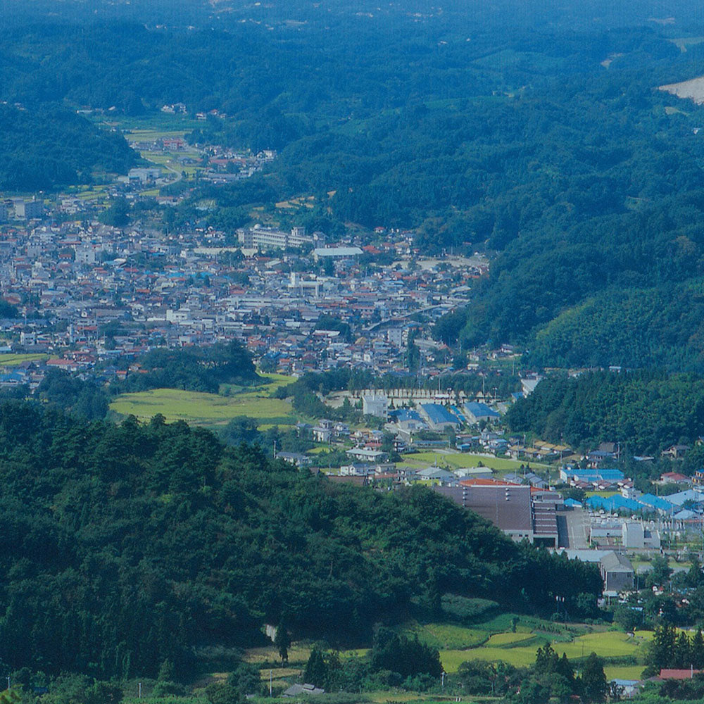 福島 川俣シャモ ステーキ・ソーセージセット 商品画像・盛り付け例